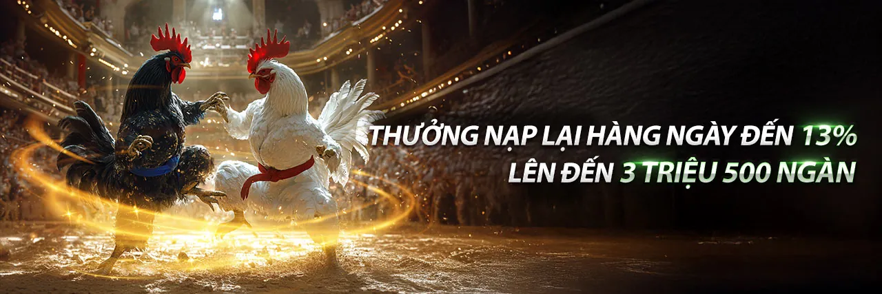 Đá Gà Trực Tuyến SV388•COM